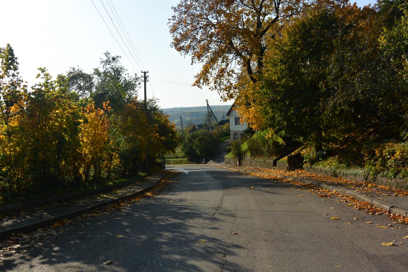 kauno gatvė 2017 10 16
